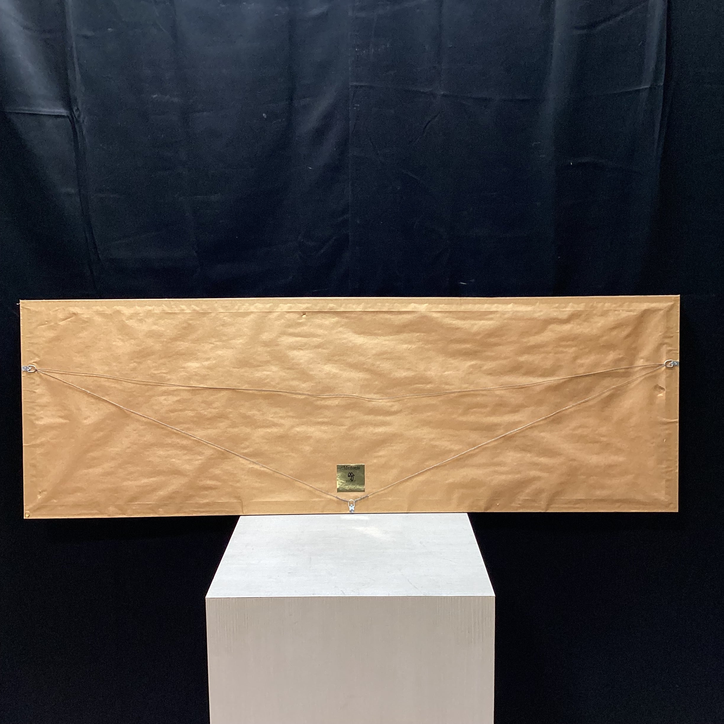 Panoramic Canyon Photograph In TruGuard Frame 58" x 19"
