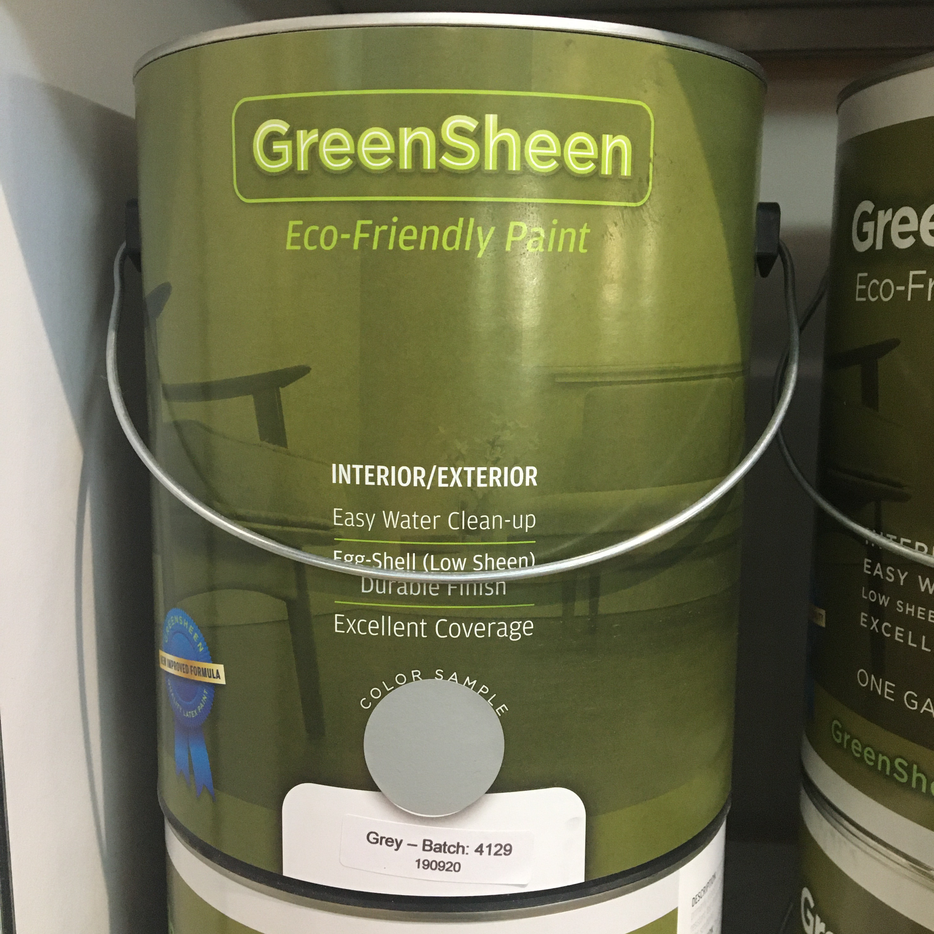 Green Sheen Paint 1 Gallon Grey
